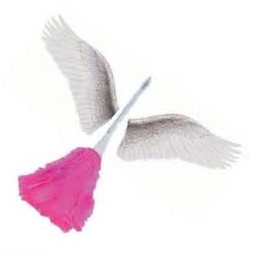 Cleaning Angel