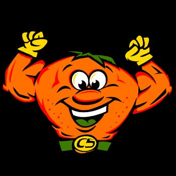 CitrusSolutions Carpet Cleaning